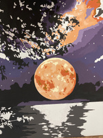 Картина по номерам 40х50 на холсте с подрамником "Лунная ночь" #14, Перепеченая О.