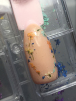 Сухоцветы для дизайна ногтей D 1-2 см. + пластиковый кейс, 36 шт. соцветий, набор 12 расцветок. #66, Елизавета Т.