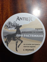 Antler Крем от растяжек на теле с мумие, гель антицеллюлитный для кожи с маслами и экстрактом пантов алтайского марала 50 мл #23, Наталья Ц.