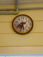 Часы Настенные Алмаз 22,5 см, бесшумные на кухню кофе Е09 #133, Сергей К.