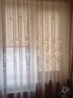 Жалюзи плиссе на окна горизонтальные, шторы Delfa Basic uni, кремовый, ширина 62 см #41, Елена Н.