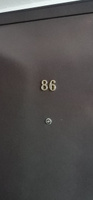 Цифра на входную дверь квартиры, № 6, дверной номер, 55x35 мм, золото, пластик #35, Свидерский Никита