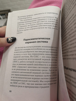 Мозг Будды: нейропсихология счастья, любви и мудрости (#экопокет) | Хансон Рик, Мендиус Ричард #6, Шевченко А.