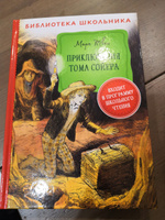 Приключения Тома Сойера. Библиотека школьника | Твен Марк #3, Ирина К.