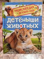 Детеныши животных. Энциклопедия для детского сада | Клюшник Л. В. #1, Дарья Г.