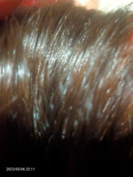 Kapous Professional Hyaluronic Крем краска с гиалуроновой кислотой 6.0 Темный блондин для окрашивания волос для профессионального и домашнего использования 100 мл #94, Клавдия А.