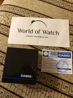 Электронные мужские наручные часы Casio Collection AE-1500WH-8B с большими цифрами #85, Александр С.