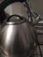 Чайник для плиты со свистком 3 литра для индукционной электрической и газовой плиты #23, Роза Д.