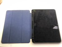 Чехол книжка для iPad Pro 11 (2022, 2021, 2020г), Dux Ducis Domo series синий #5, София С.