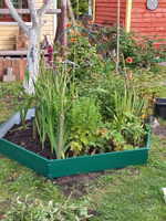 Клумба садовая для дачи сада огорода оцинкованная с полимерным покрытием ТМ Благо, диаметр 200 см, зеленая #2, Анжелика С.