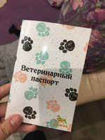 Ветеринарный паспорт международный для собак / кошек #73, Анастасия П.