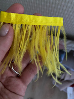 Перья желтые, декоративная лента, шириной ленты 8-12 см, цвет жёлтый, уп 1 м #20, Полина Т.