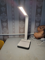 Zimi /светильник настольный,лампа настольная светодиодная для школьника #97, Буба Х.