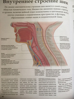 Анатомия человека #1, Шторм