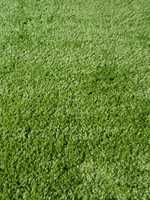 Витебские ковры Ковер SHAGGY LUX зеленый с высоким длинным ворсом "изумрудная трава" / пушистый ковер на пол в спальню, детскую или гостиную, 1.5 x 4 м #36, Юрченко Г.