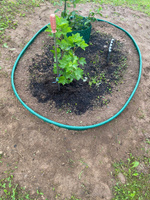 Пластиковый садовый бордюр ANMAKS Кантри зеленый, длина 10000 мм, высота 110 мм, арт. 82401-З #8, Екатерина П.