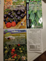Набор семян овощей из 3-х сортов: Томат Всем на Зависть / Томат Монгольский Карлик / Огурец Сибирская Гирлянда, 3 упаковки +Подарок, Уральский Дачник #50, Лиза К.