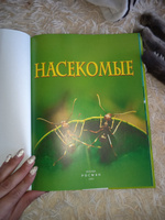 Насекомые. Детская энциклопедия школьника. Познавательная книга о природе для детей от 7 лет #7, алена и.