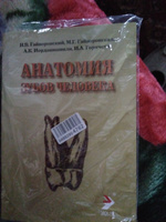 Анатомия зубов человека, 4-е издание, исправленное и дополненное #5, Виктория П.