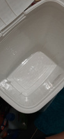 Набор из 2х предметов Ротанг: Корзина для белья с крышкой 40л, контейнер 10л для порошка, цвет белый #95, Юлия Г.