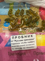 15 шт 3,7 см Cиликоновые приманки для рыбалки. Рачки рак RuBaits Shrimp креветка Набор приманок на окуня, на форель, хариус. Зимние, морские. Микроджиг, мормышинг. Тыква звёздн/Green Pumpkin Stars #58, Сеня