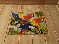 Картина по номерам на картонной основе LORI Пара попугаев, 38х28,5 см, антистресс в подарок #37, Ольга К.