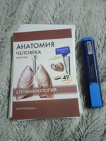 Анатомия человека. Спланхнология. Учебное пособие (набор из 49 карточек) | Сапин Михаил Романович, Николенко Владимир Николаевич #20, Жанна С.