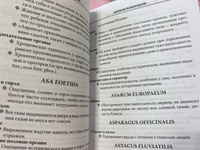 Ведущие локальные симптомы (препарат область симптом) | Неш Е. Б. #2, Александр Т.