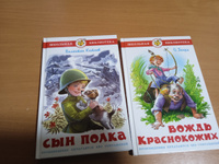 Вождь краснокожих + Сын полка. Комплект из 2 книг | Катаев Валентин, О Генри #1, Алеся З.