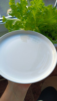 Тарелка обеденная / закусоная из белого фарфора для сервировки стола LEFARD "SILK" 20.5 см #29, Алиона