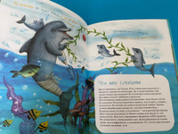 Я дельфин с раскрасками / Познавательные книги для детей | Мирзоев Владимир #8, Виктория Кудрявцева