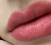 Stellary Long lasting lipstick Помада для губ без липкого слоя устойчивая, тон 23, 3.8 г #74, Ирада С.