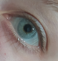 СЕРЫЕ +КАРИЕ Цветные контактные линзы для глаз MAGESTIC, 12 месяцев, 0.00 #20, Лилия Ж.