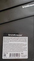 ErichKrause Папка-конверт A4 (21 × 29.7 см), 12 шт. #25, Марина Д.