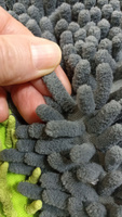 Сменная насадка для швабры МОП из микрофибры плотной вязки, цвет серый, размер 40-10 см #124, Сара