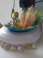 Светящиеся камни для декора аквариума, цветов, дачи и сада 500 г #65, Наталья Щ.