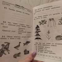 Окружающий мир 2 класс. Проверочные и диагностические работы. УМК "Планета знаний". ФГОС | Потапов Игорь Владимирович, Ивченкова Галина Григорьевна #4, Альфия Б.