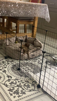 Лежанка для собак мелких пород, лежак со съемной подушкой для животных, размер ( 60х50х20 ), рогожка, LionPets #60, Ирина Ш.