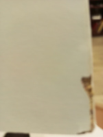 Полка навесная Лайт NEW, цвет Белый - Венге, 115х62,2х18,6 см / полка настенная / книжная / деревянная / для книг, цветов, игрушек #60, Наталья И.