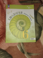 Биология. 6 класс. Рабочая тетрадь. Базовый уровень. Пасечник В.В. НОВЫЙ ФГОС #1, Альбина В.