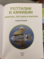 Энциклопедия для детей с заданиями Рептилии Умка / развивающая книга детская | Козырь Анна #5, Тимур М.