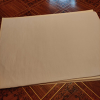 ПСВ Бумага для рисования A1 (59.4 × 84.1 см), 20 лист., шт #94, Екатерина Ч.