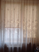 Жалюзи плиссе на окна горизонтальные, шторы Delfa Basic uni, кремовый, ширина 62 см #42, Елена Н.