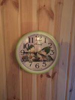 Часы Настенные Алмаз 22,5 см, бесшумные на кухню спальню дачу цветы ромашки Е12 #103, Татьяна Т.