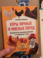 Мы и наши родители, мы и наши дети  | Бурбо Лиз #4, Diana Д.