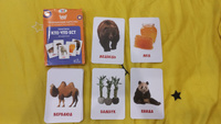 Карточки с животными для малышей "Кто что ест" развивающие, 30 шт. #59, Ольга Ф.