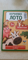 Обучающая настольная игра "Лото Животные" KoroBoom для малышей, с картинками диких и домашних животных #8, Татьяна Р.