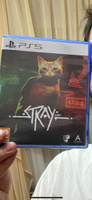 Игра Stray (PlayStation 5, Русская версия) #5, Стас Т.