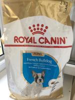 Сухой корм для щенков породы французский бульдог Royal Canin French Bulldog Puppy, с птицей, 3 кг #3, Анастасия Барышева