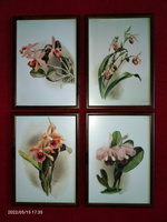 Набор интерьерных постеров 21х30 см, 4 шт "Орхидеи" без рамок / картины для интерьера / постеры цветы #32, Любовь О.